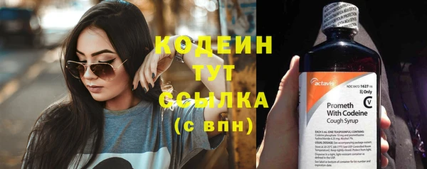 ECSTASY Алзамай