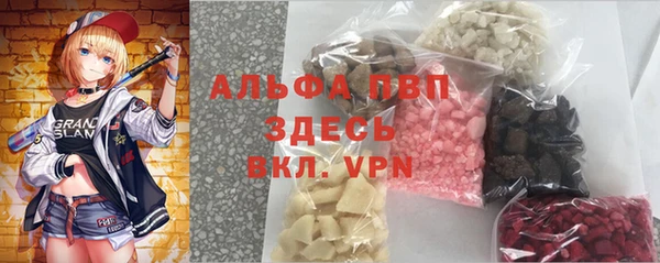 ECSTASY Алзамай