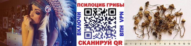 Галлюциногенные грибы GOLDEN TEACHER  Холм 