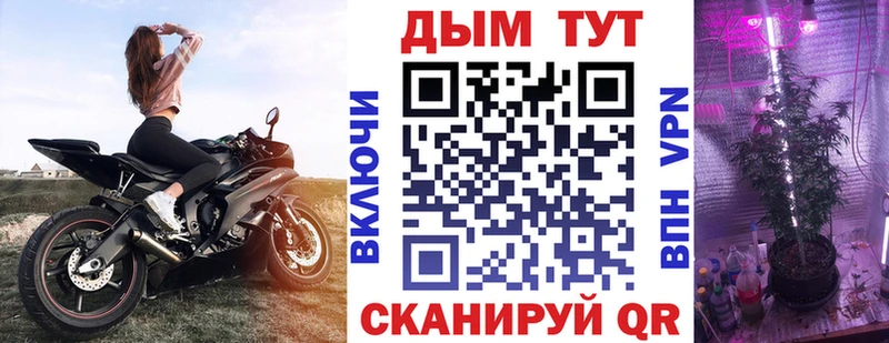 Каннабис Amnesia  где найти   Холм 